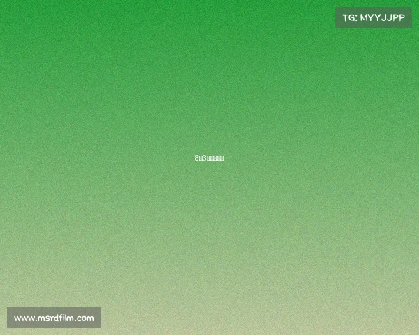 8月3日乒乓赛程